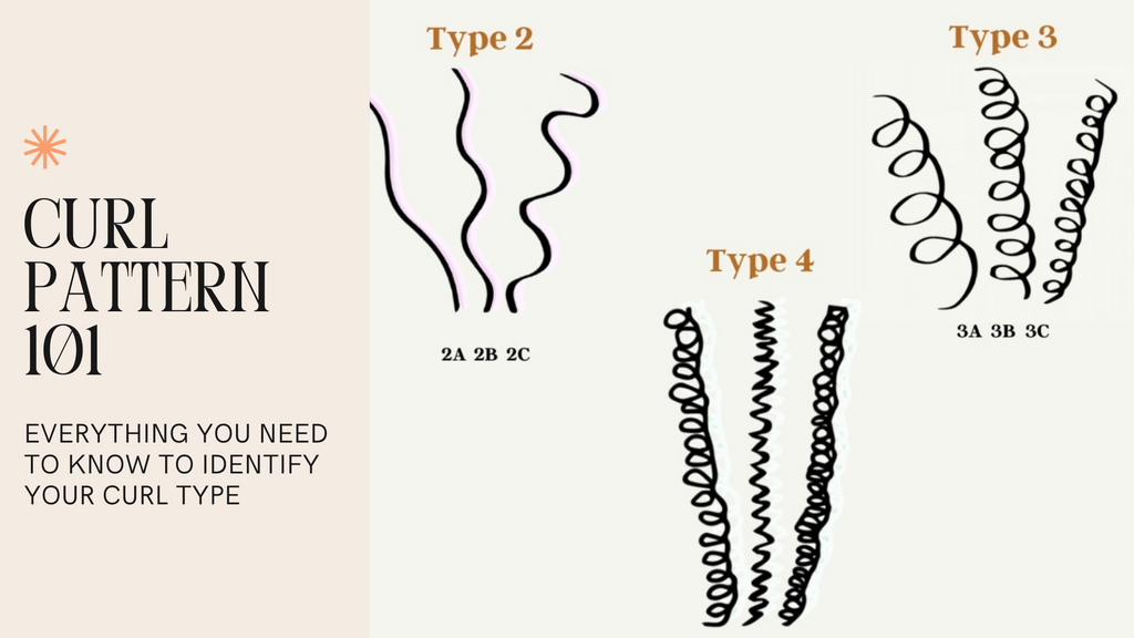 Curl Pattern 101 : Everything You Need To Know To Identify Your Curl Type