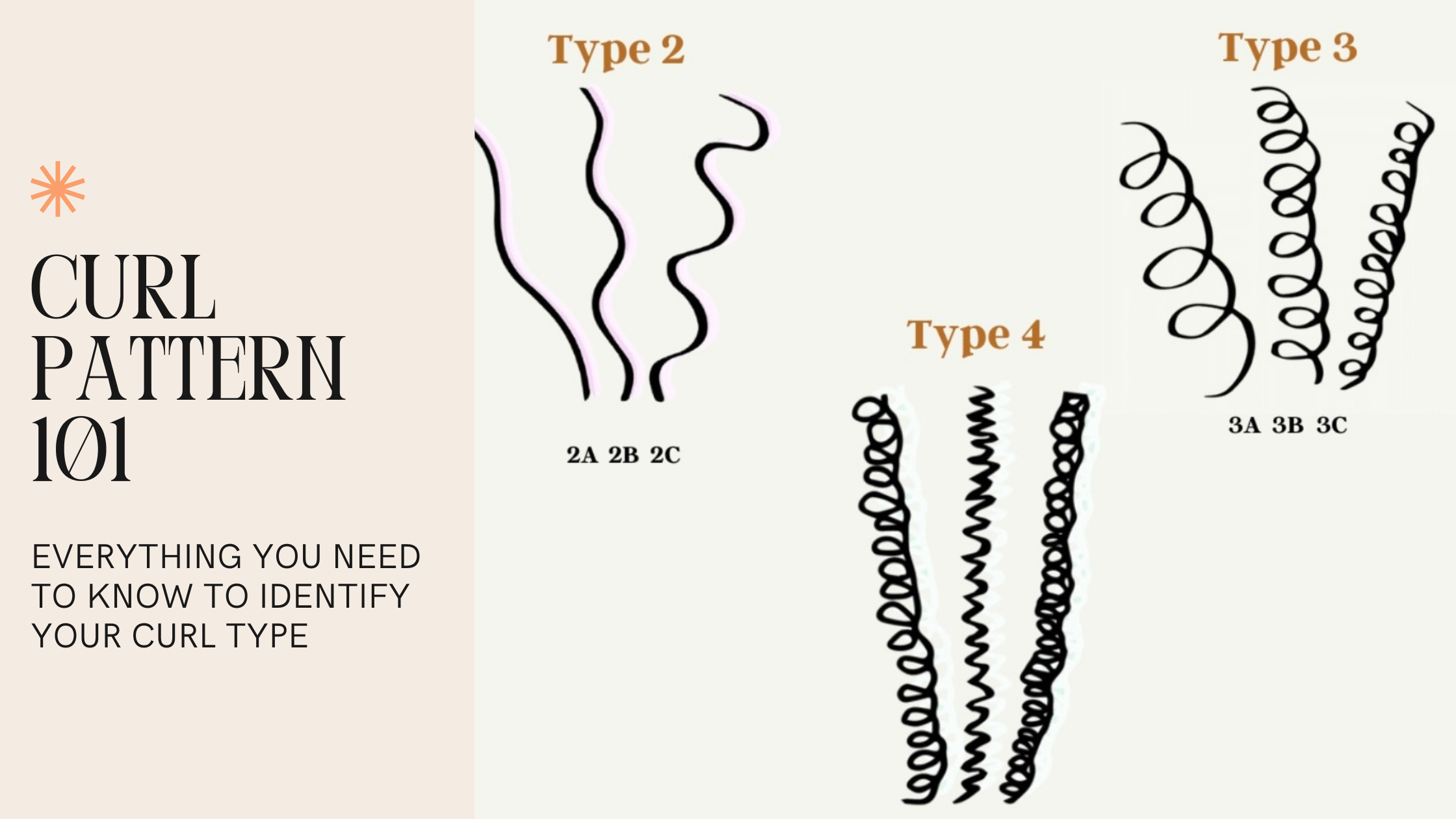 Curl Pattern 20  Everything You Need To Know To Identify Your ...